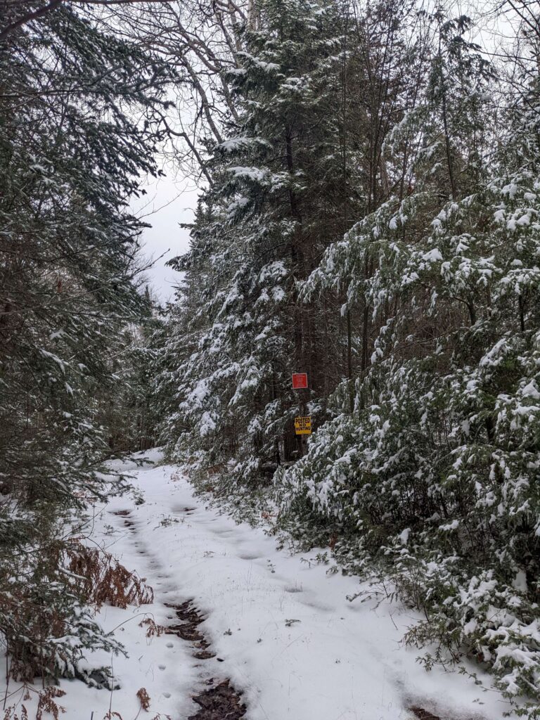 photo of trail in the forest lined by bright white snow
